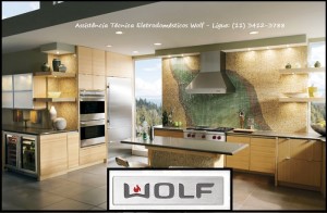 Wolf Assistência Técnica