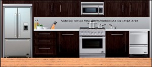 DCS Assistência Técnica